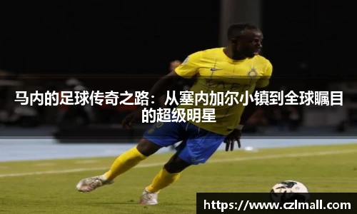 xc体育